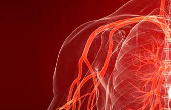 Maria Cristina M. De Camargo - Foto 1