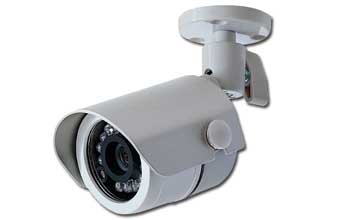 Tereza P Ribeiro - Foto 1