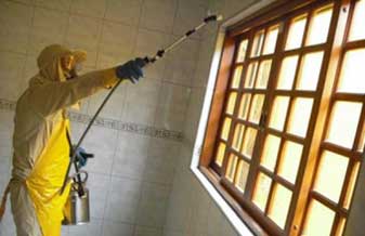 Tecde Dedetizadora - Foto 1