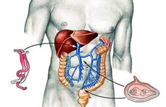 Roberto Koiti Ascava - Foto 1