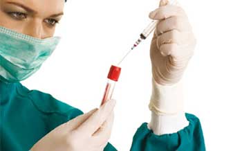 Vivian Menezes Irineu - Foto 1