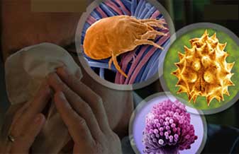 Marília Menezes Poles - Foto 1