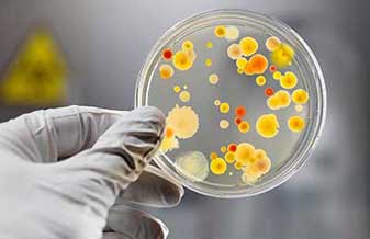 Rodolfo Enrique P. Castro - Foto 1