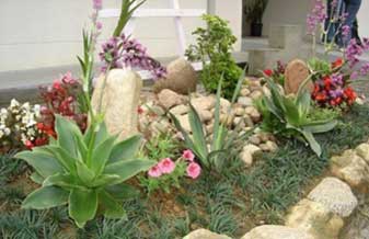 Sollo Grama - Foto 1