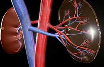 Antonio Pádua P. Miramontes - Foto 1