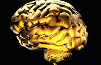 Luiz Eduardo Antunes De Almeida - Foto 1