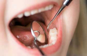 Izabel Toscanelli Reginato - Foto 1