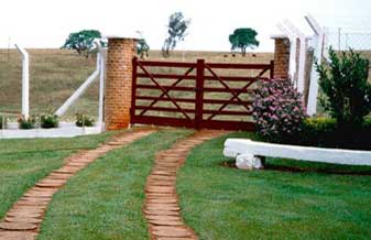 Fazenda Nova Aliança - Foto 1