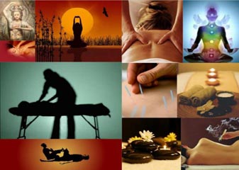 Renata Leme De Araújo - Foto 1