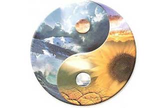 Quintessência Terapias - Foto 1