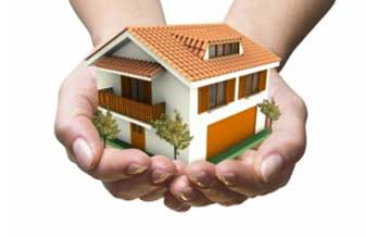 João de Barro - Foto 1