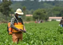 saúde do trabalhador