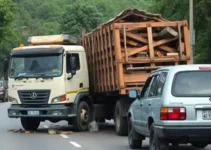 caminhão carregado de madeira