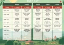 Agenda Cultural de Tatuí