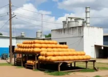 fábrica de pães