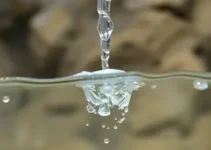 água Crystal com bactéria