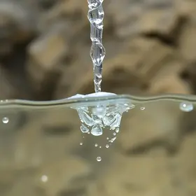 água Crystal com bactéria