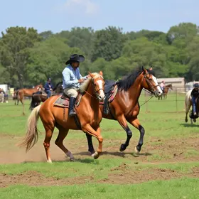 Ranch Sorting
