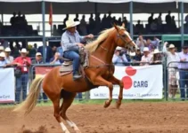 Ranch Sorting