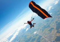 festival de wingsuit
