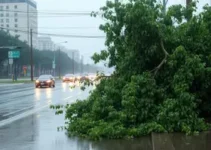 chuva em SP