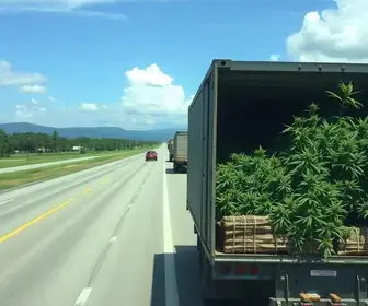 apreensões em rodovias de Itapetininga